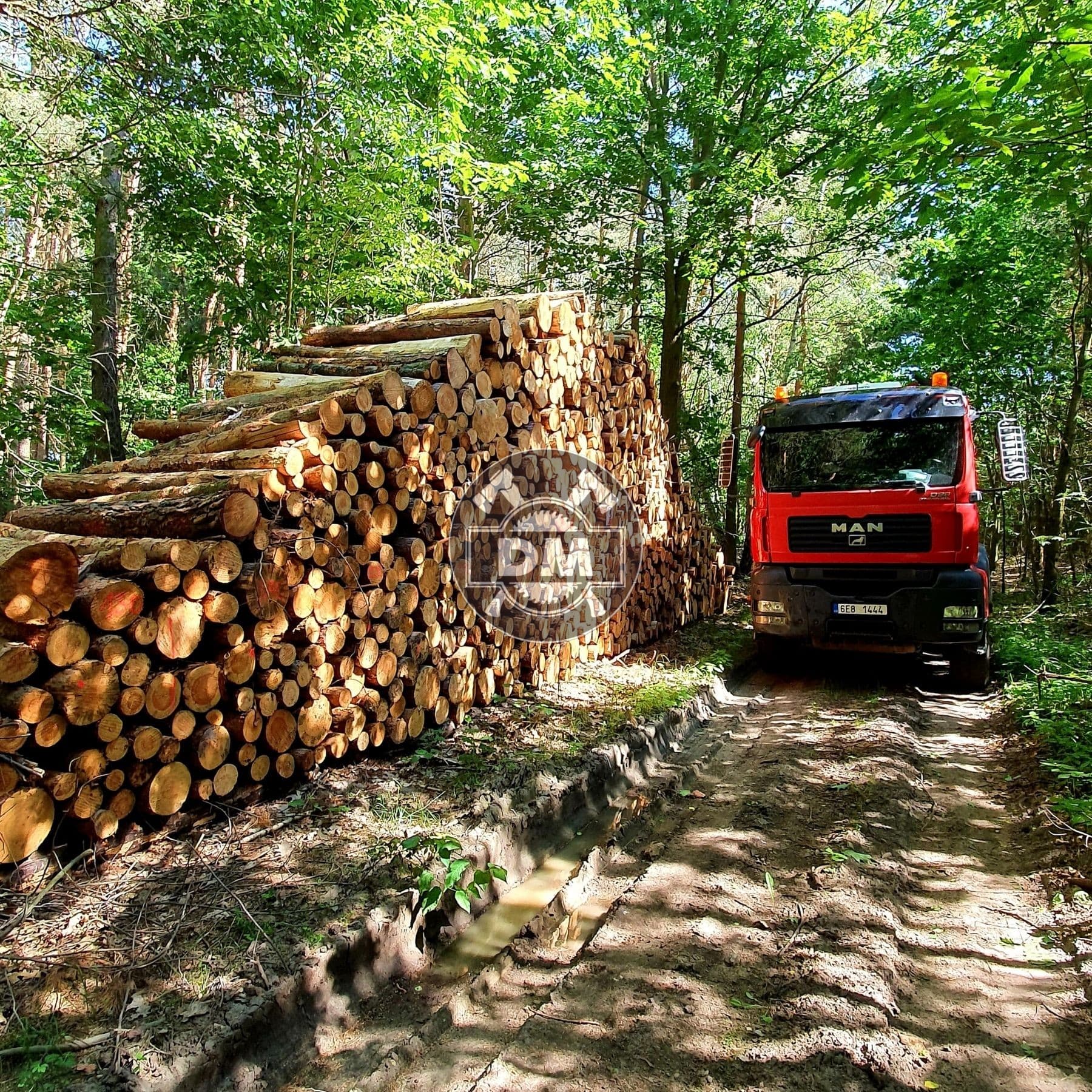 Fotografie z galerie