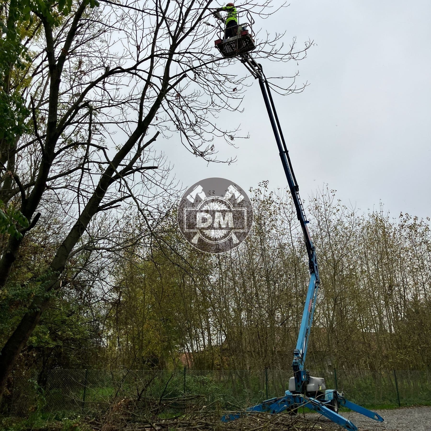 Fotografie z galerie