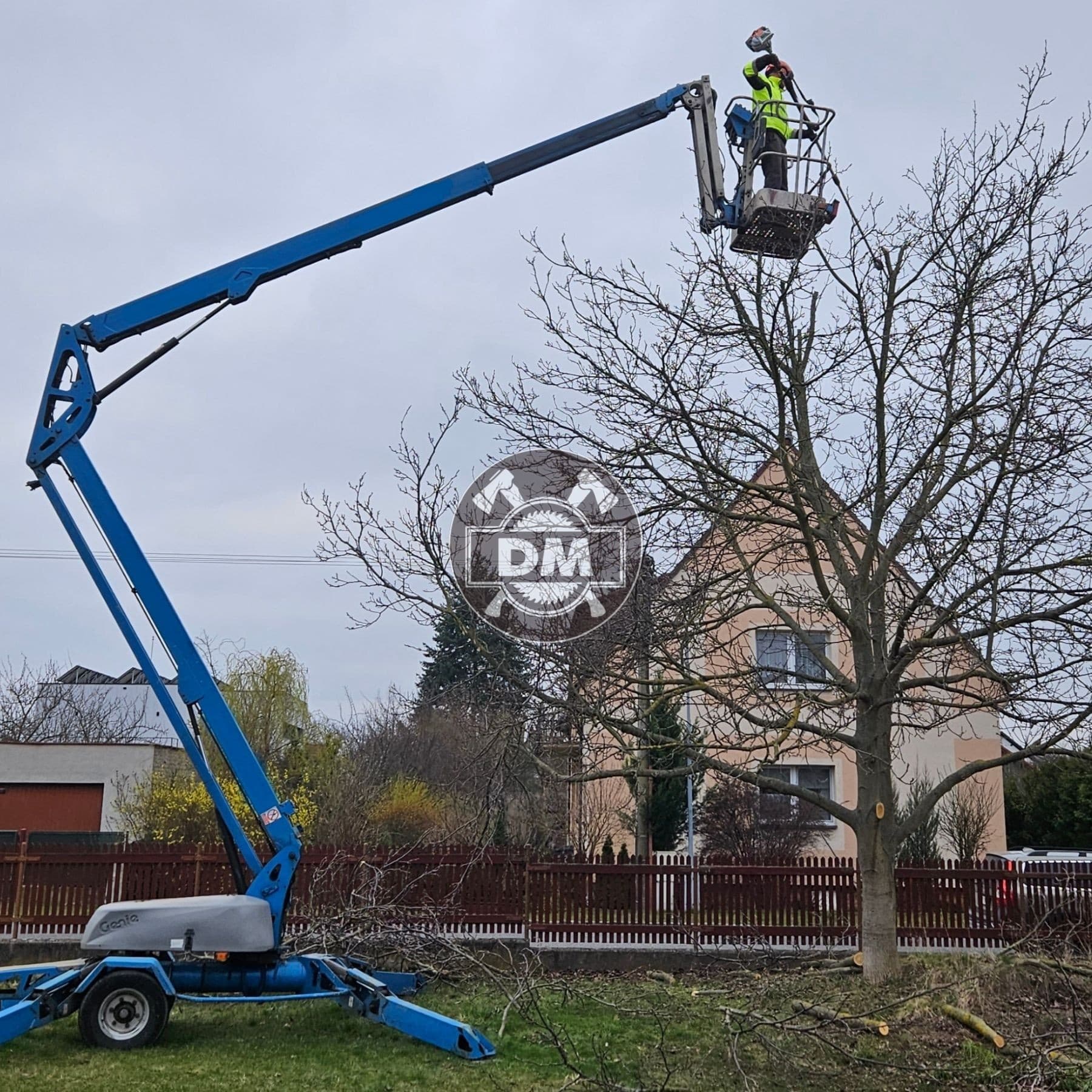 Fotografie z galerie