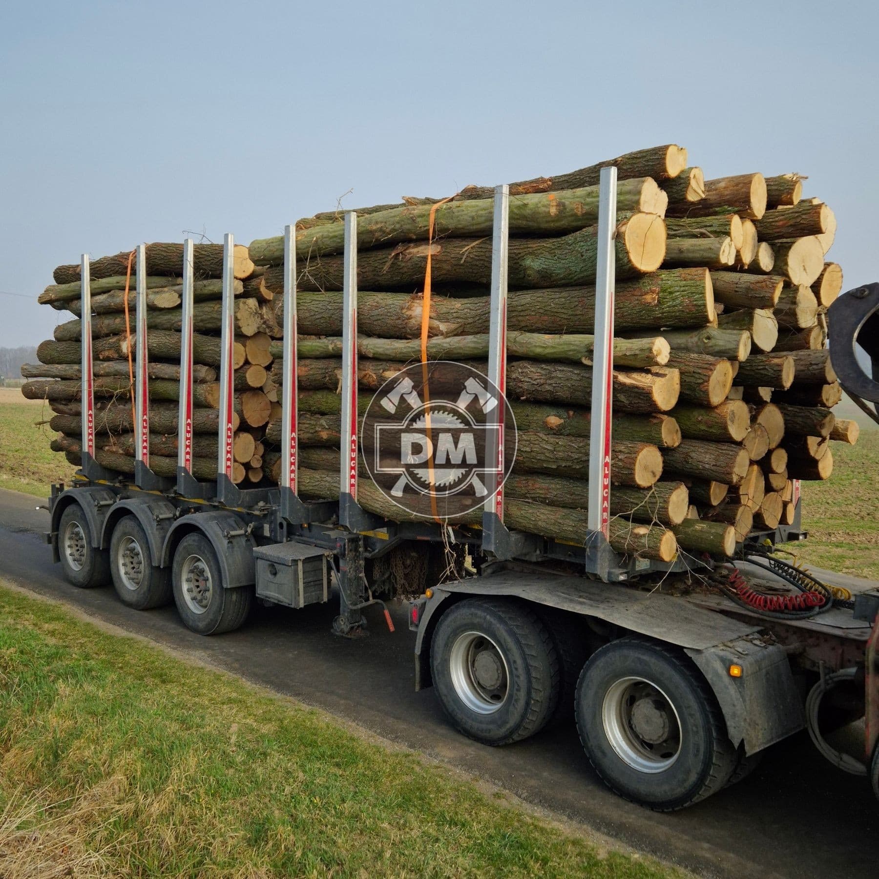 Fotografie z galerie