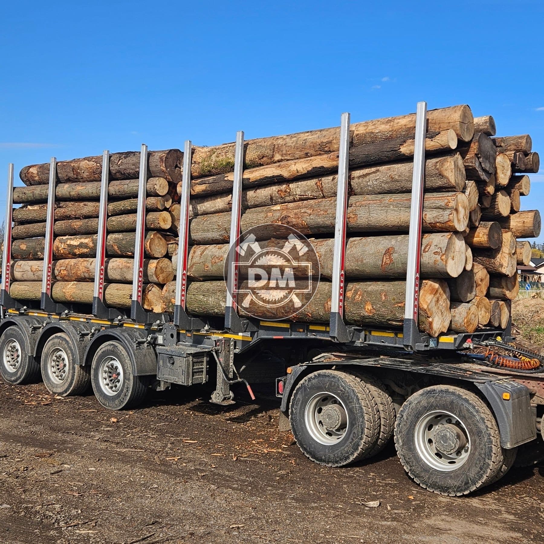 Fotografie z galerie