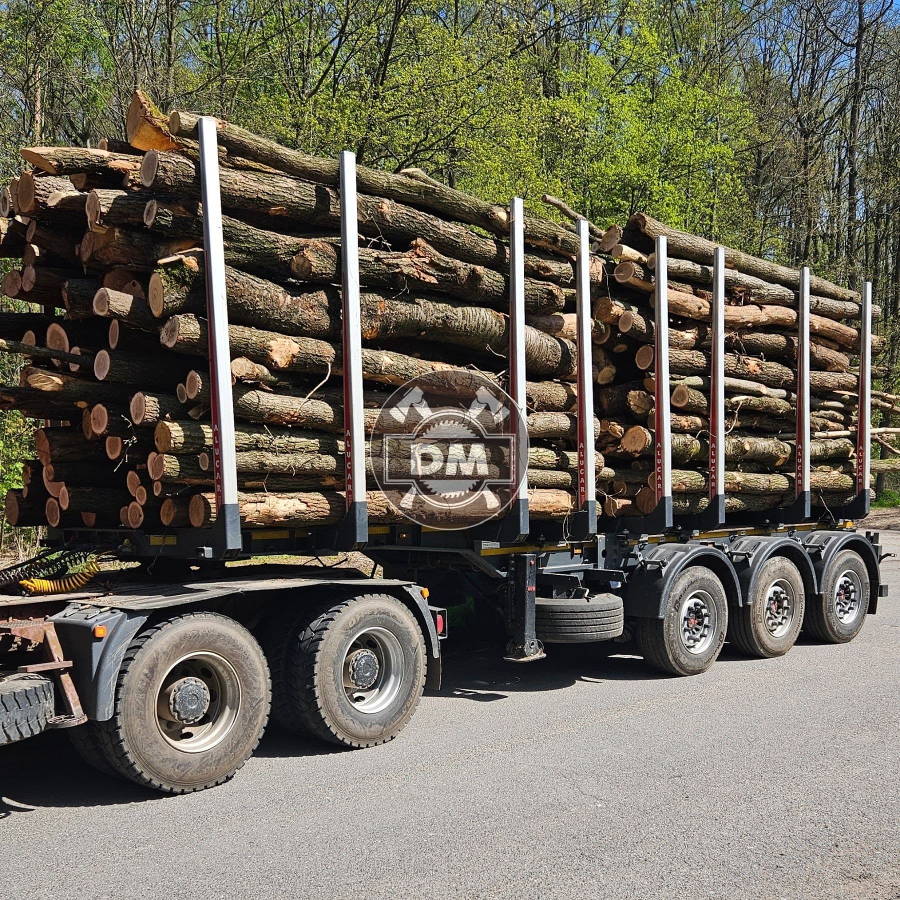 Fotografie z galerie