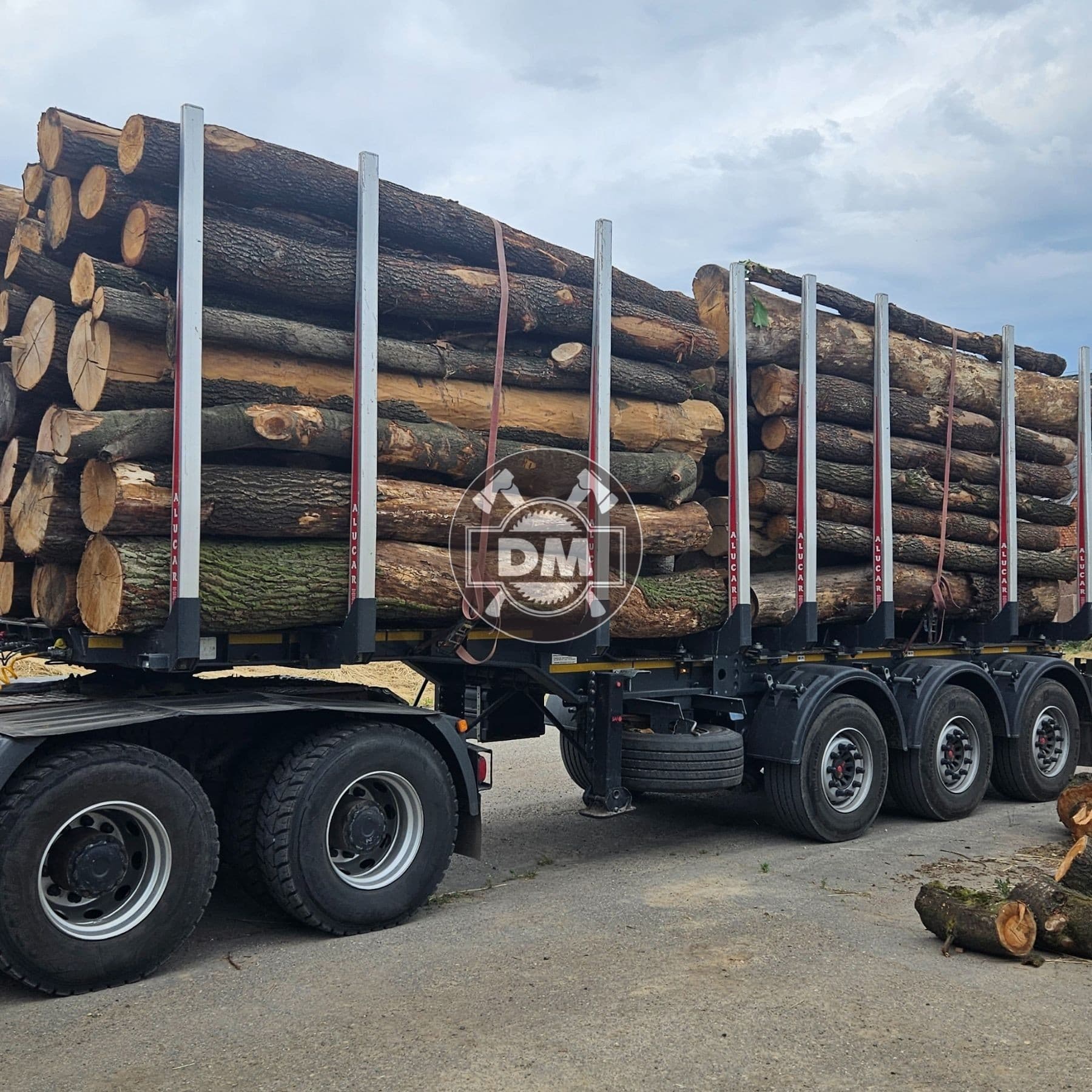 Fotografie z galerie