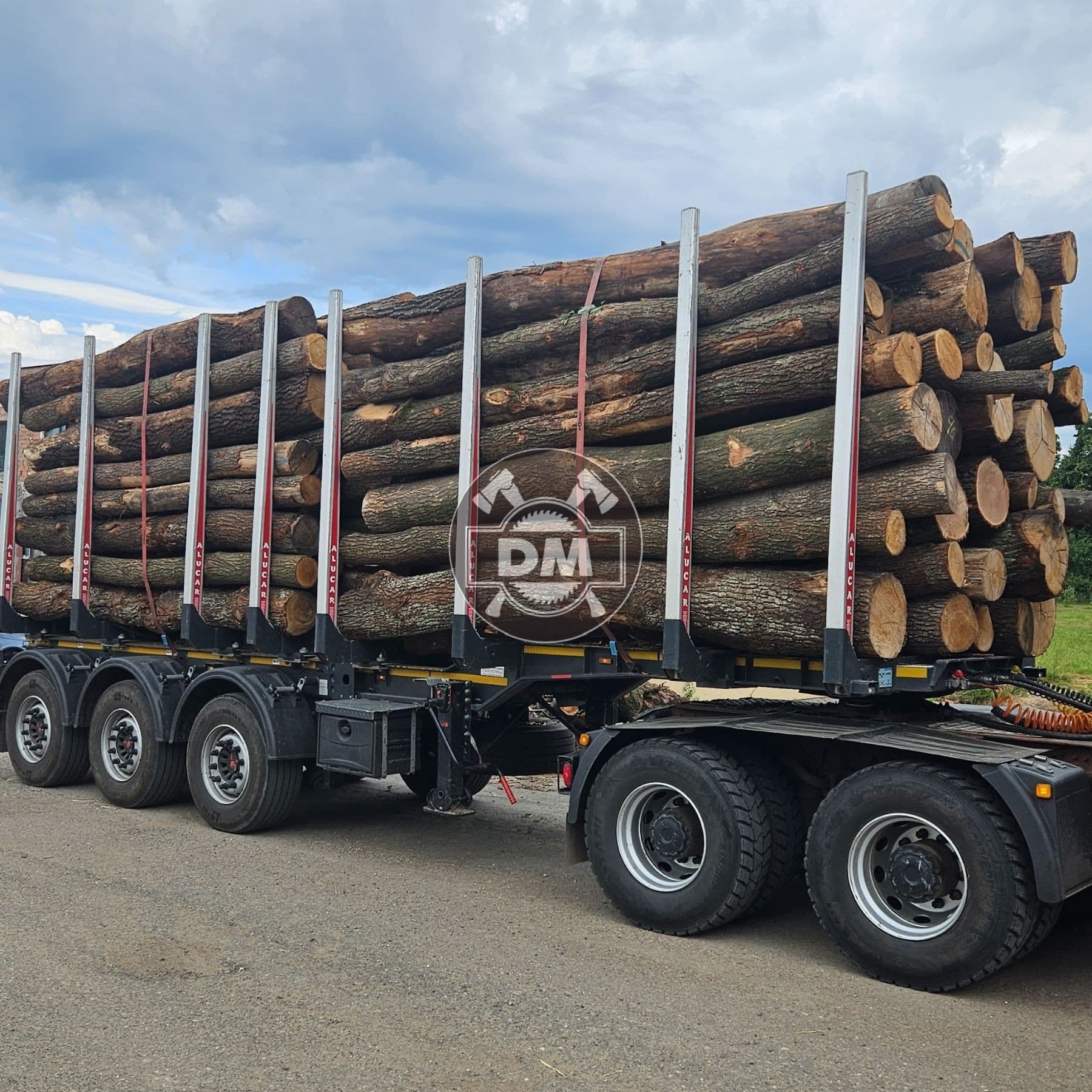 Fotografie z galerie