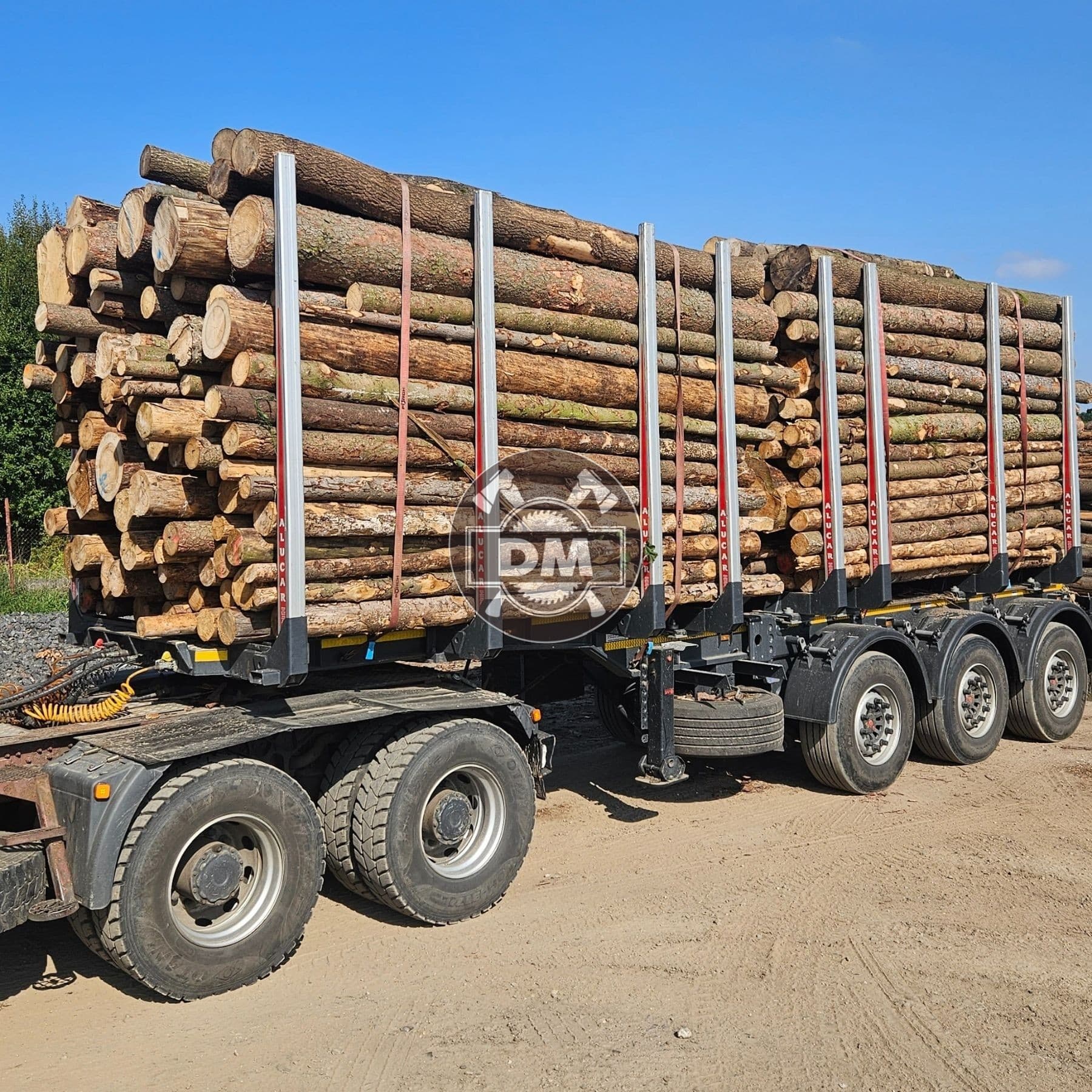 Fotografie z galerie