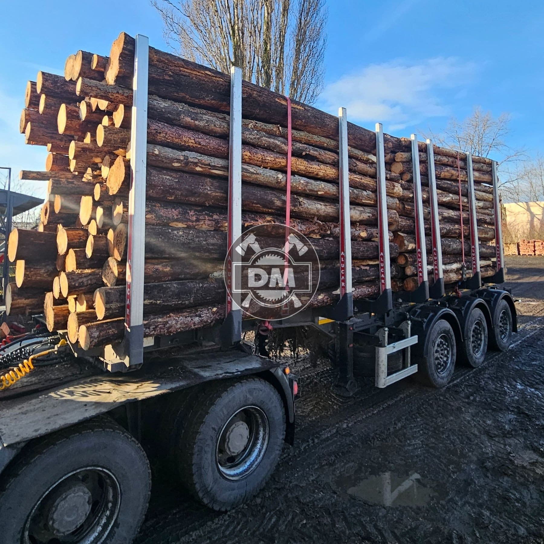 Fotografie z galerie