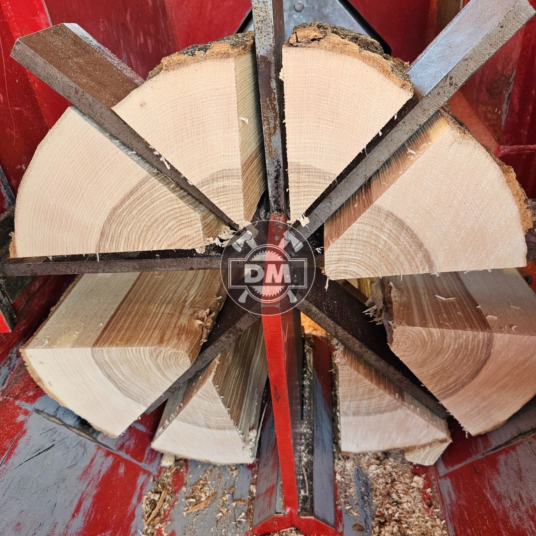 Fotografie z galerie