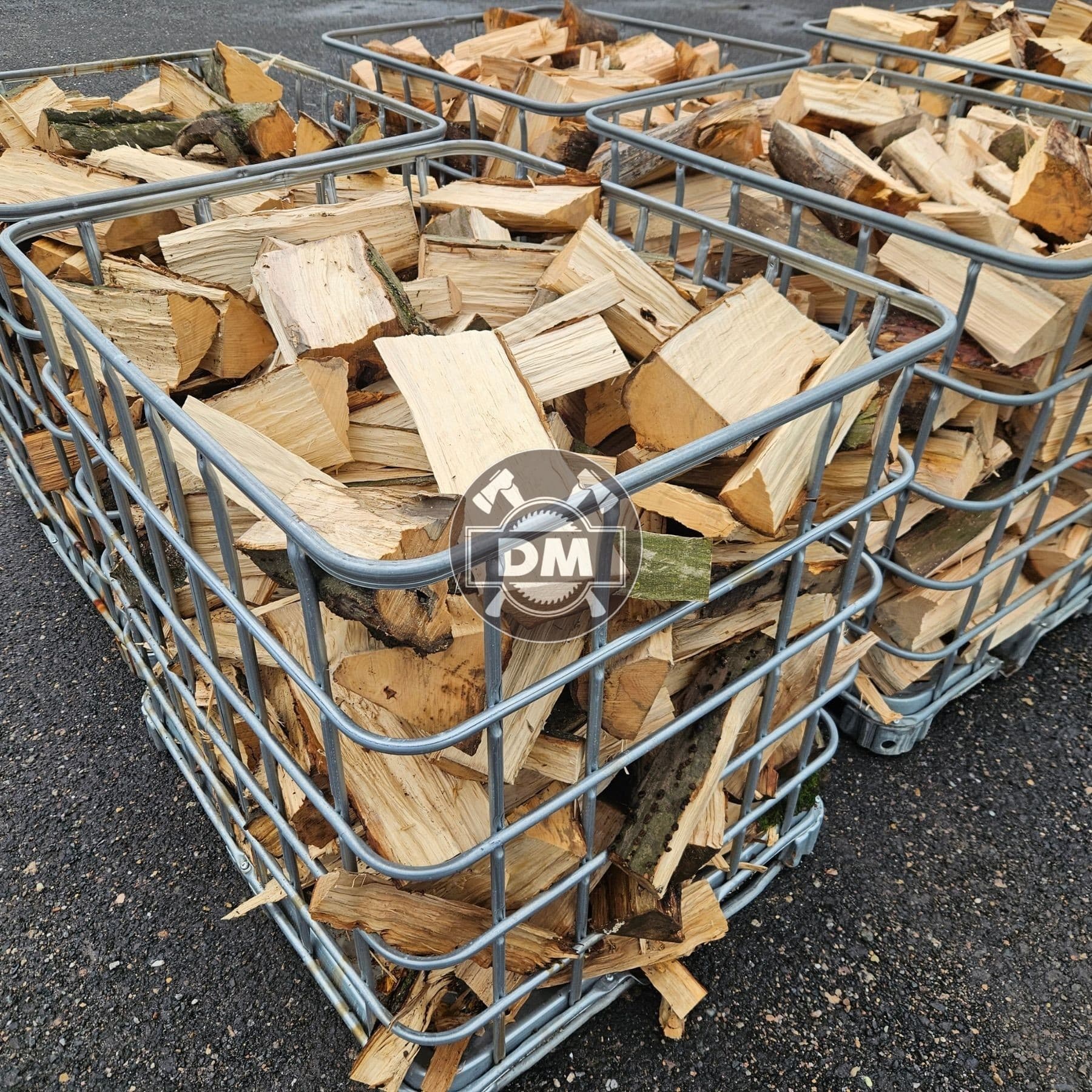 Fotografie z galerie