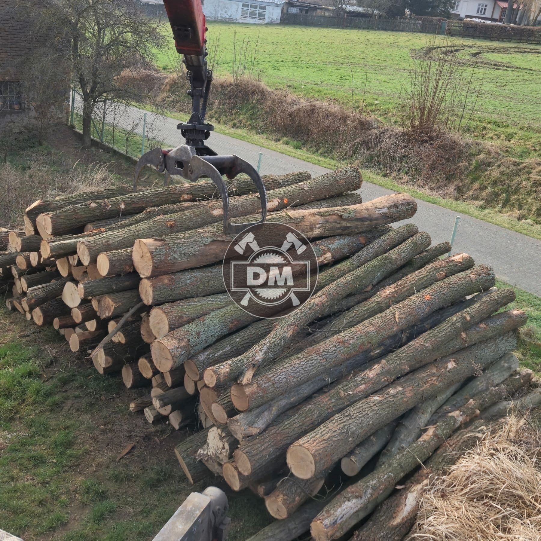 Fotografie z galerie