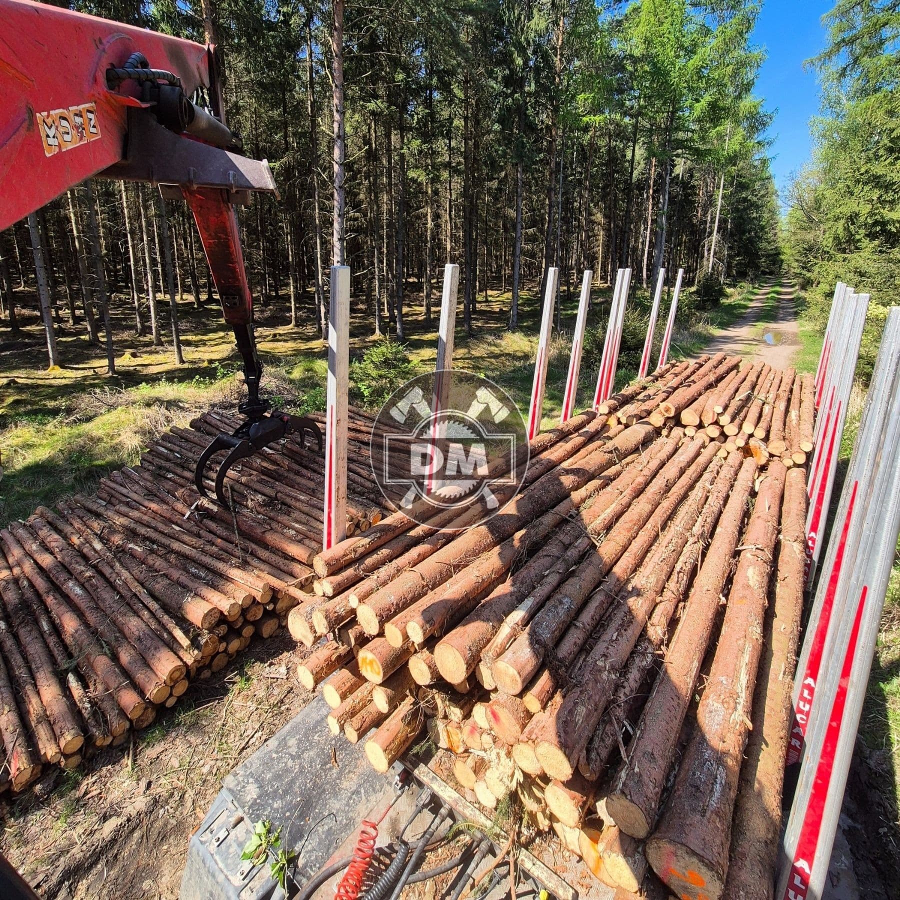 Fotografie z galerie