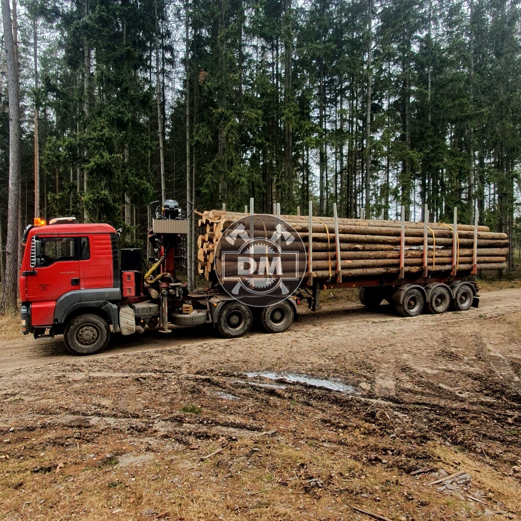 Fotografie z galerie