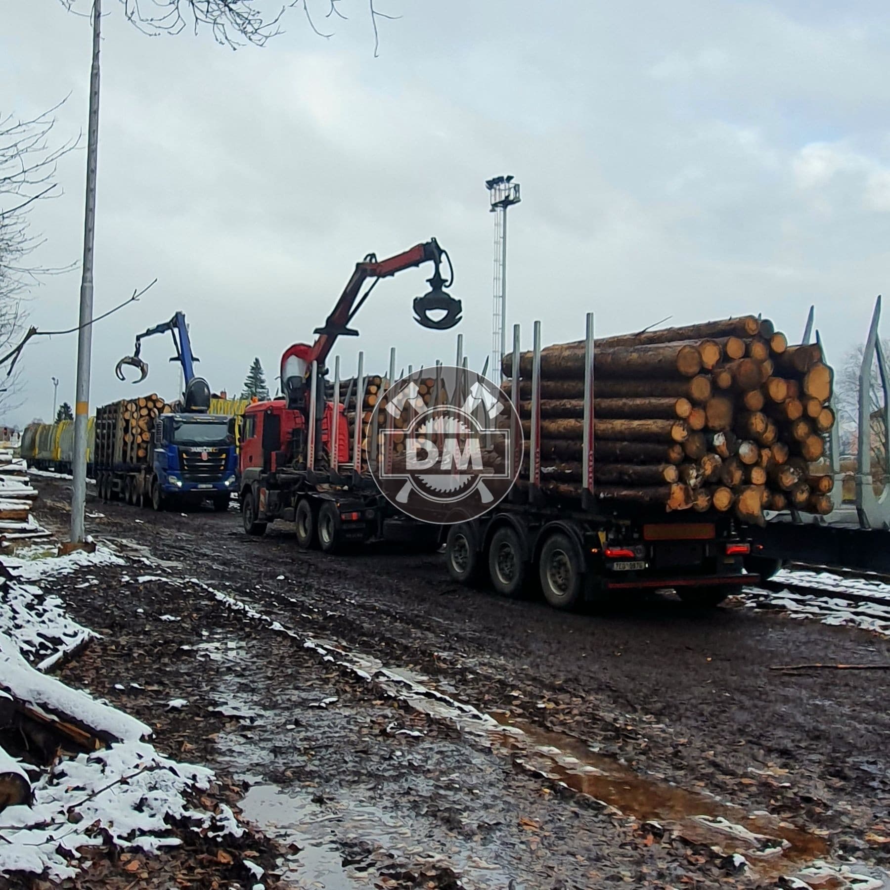 Fotografie z galerie