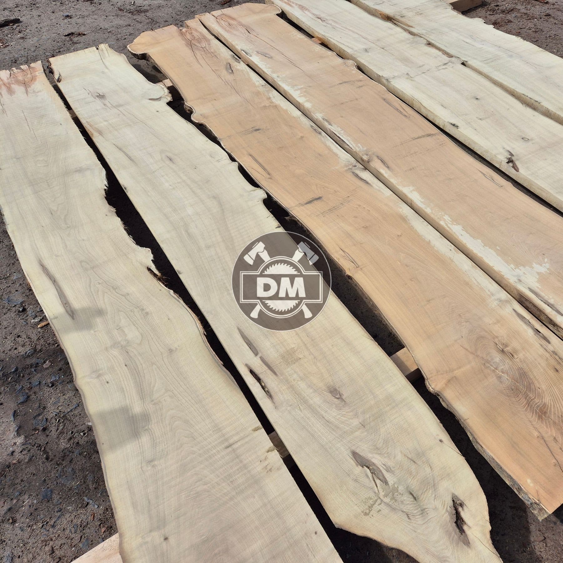 Fotografie z galerie