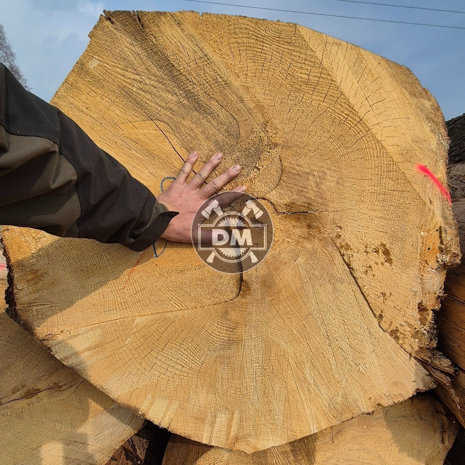 Fotografie z galerie