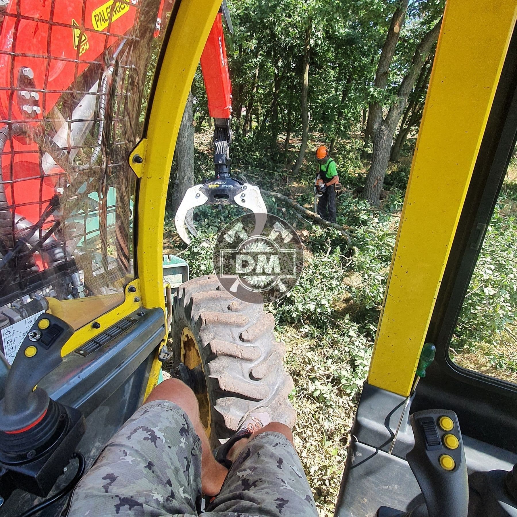 Fotografie z galerie