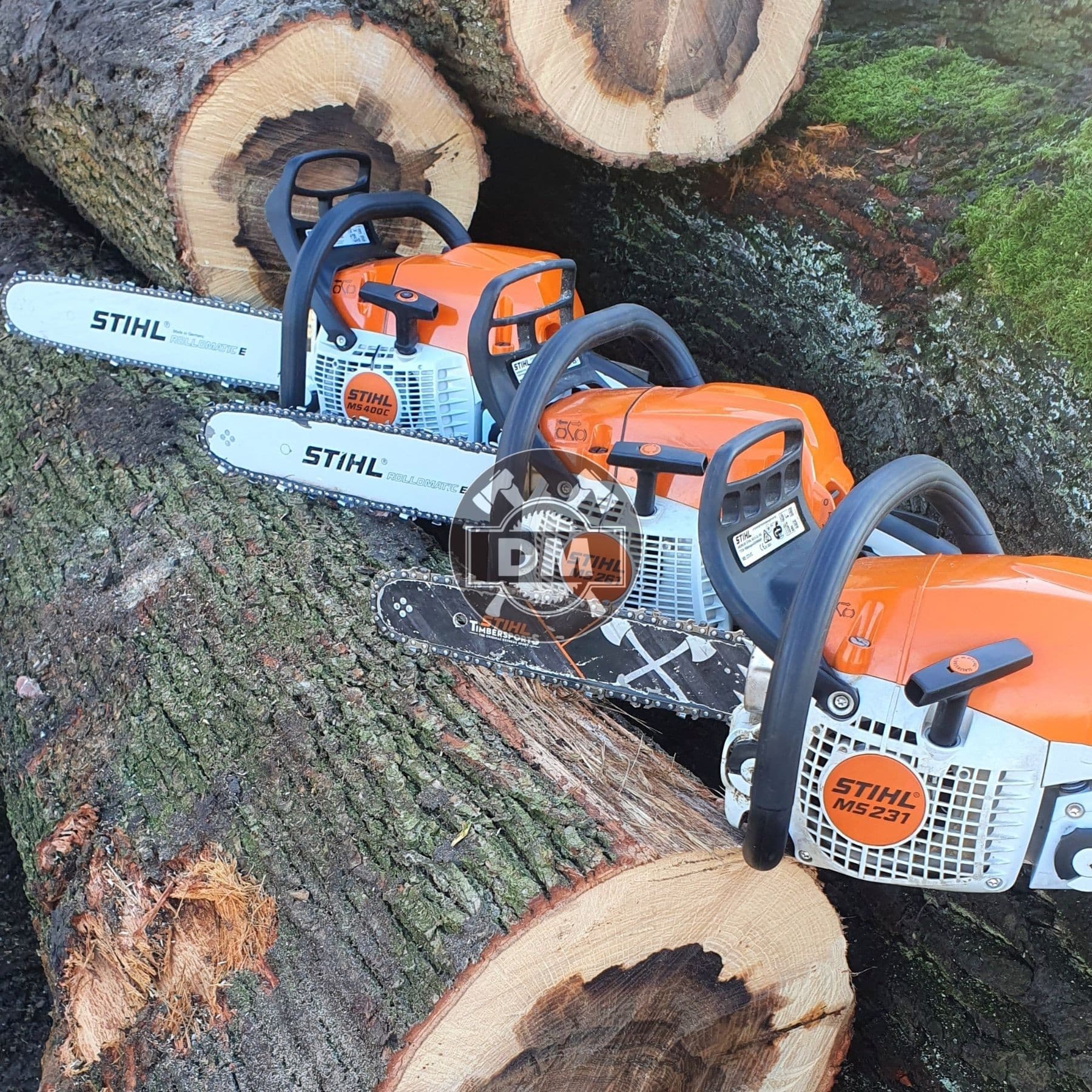 Fotografie z galerie