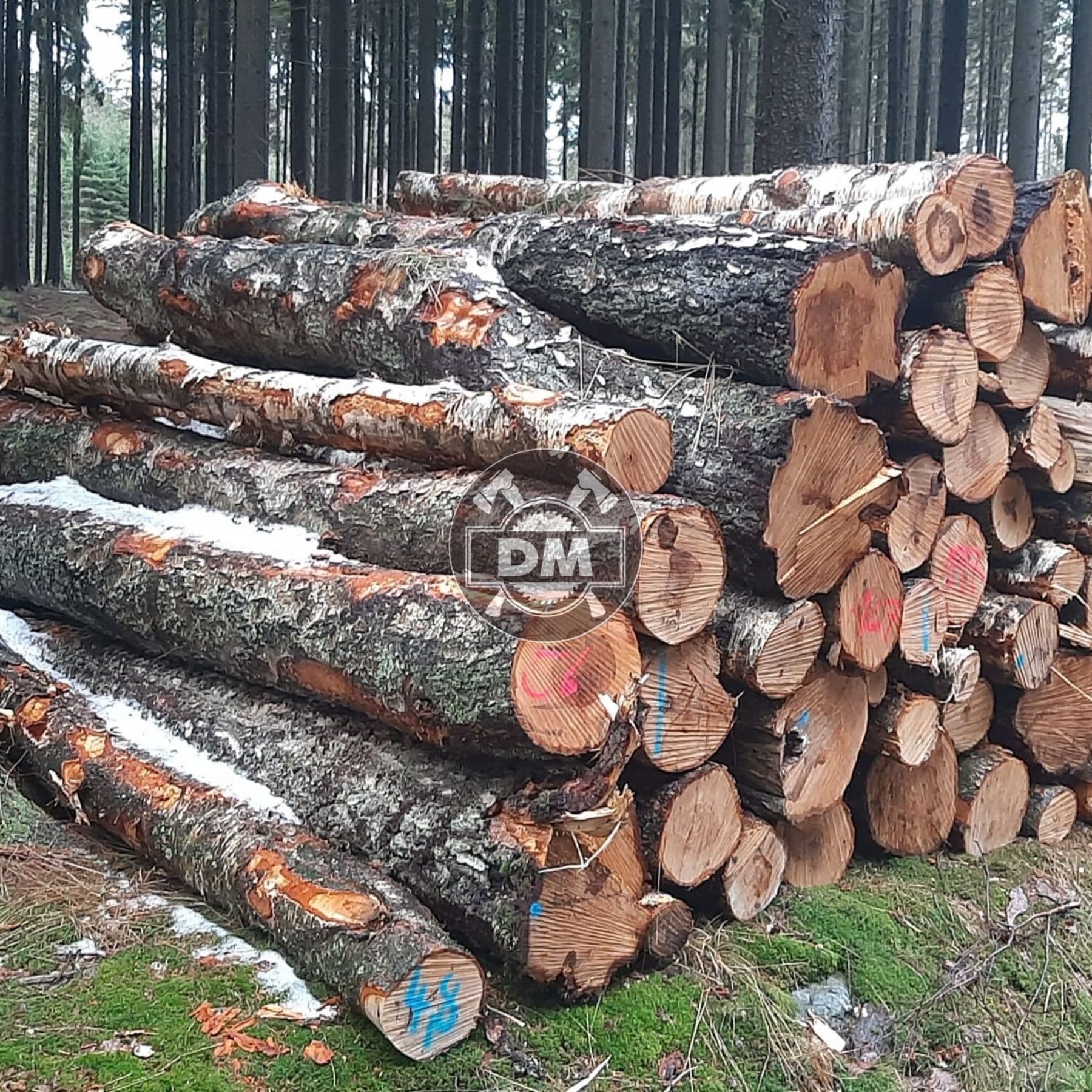 Fotografie z galerie