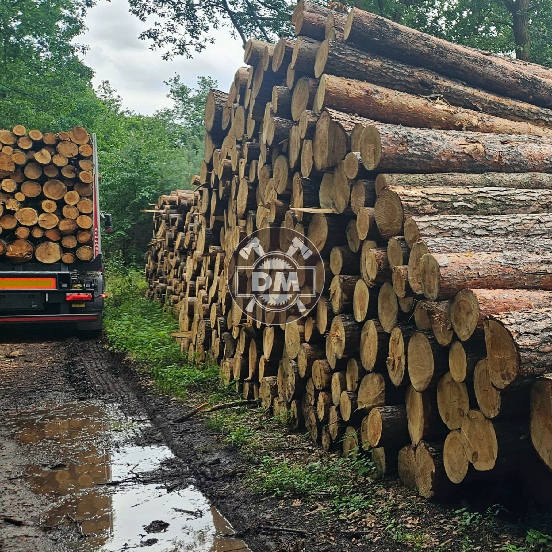 Fotografie z galerie