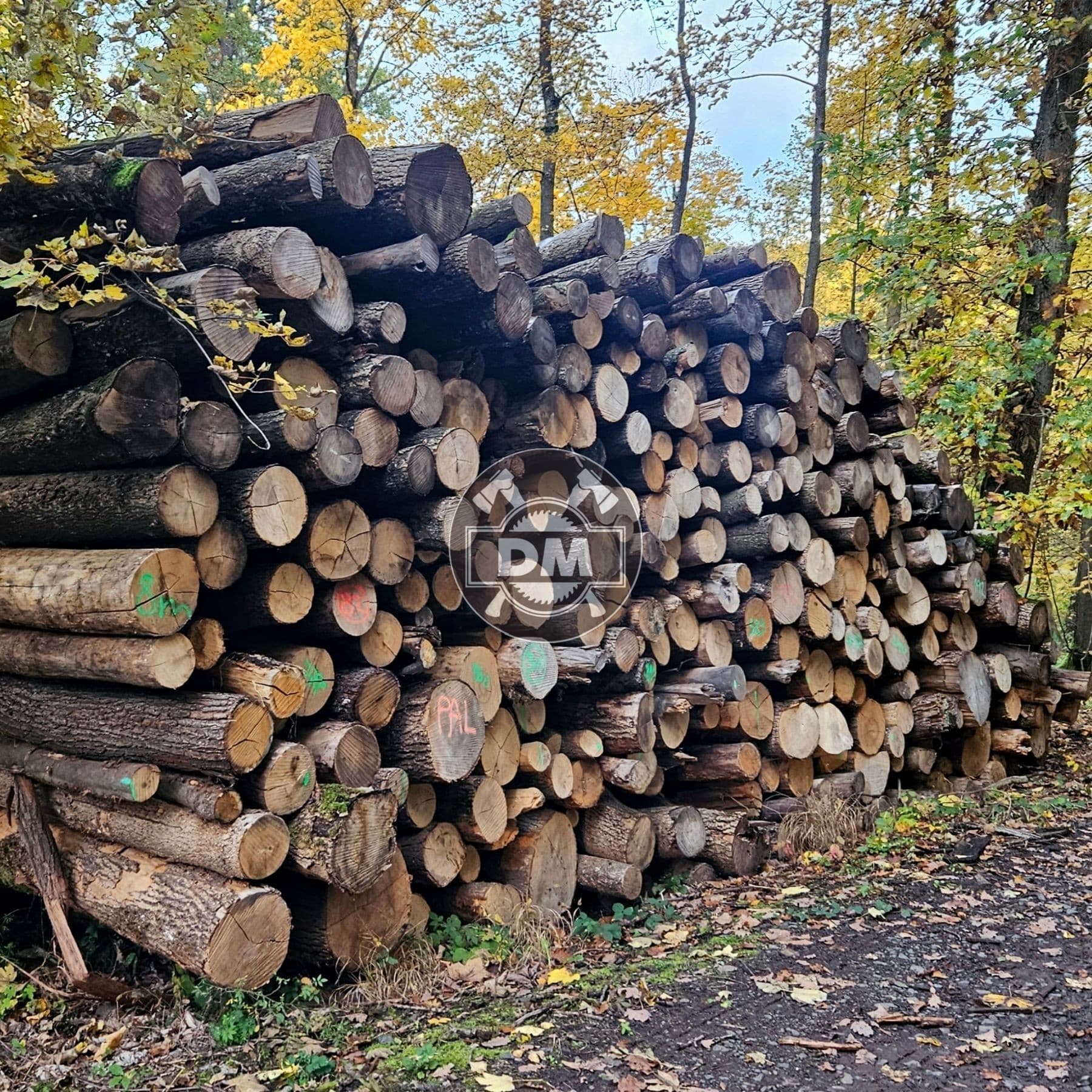 Fotografie z galerie