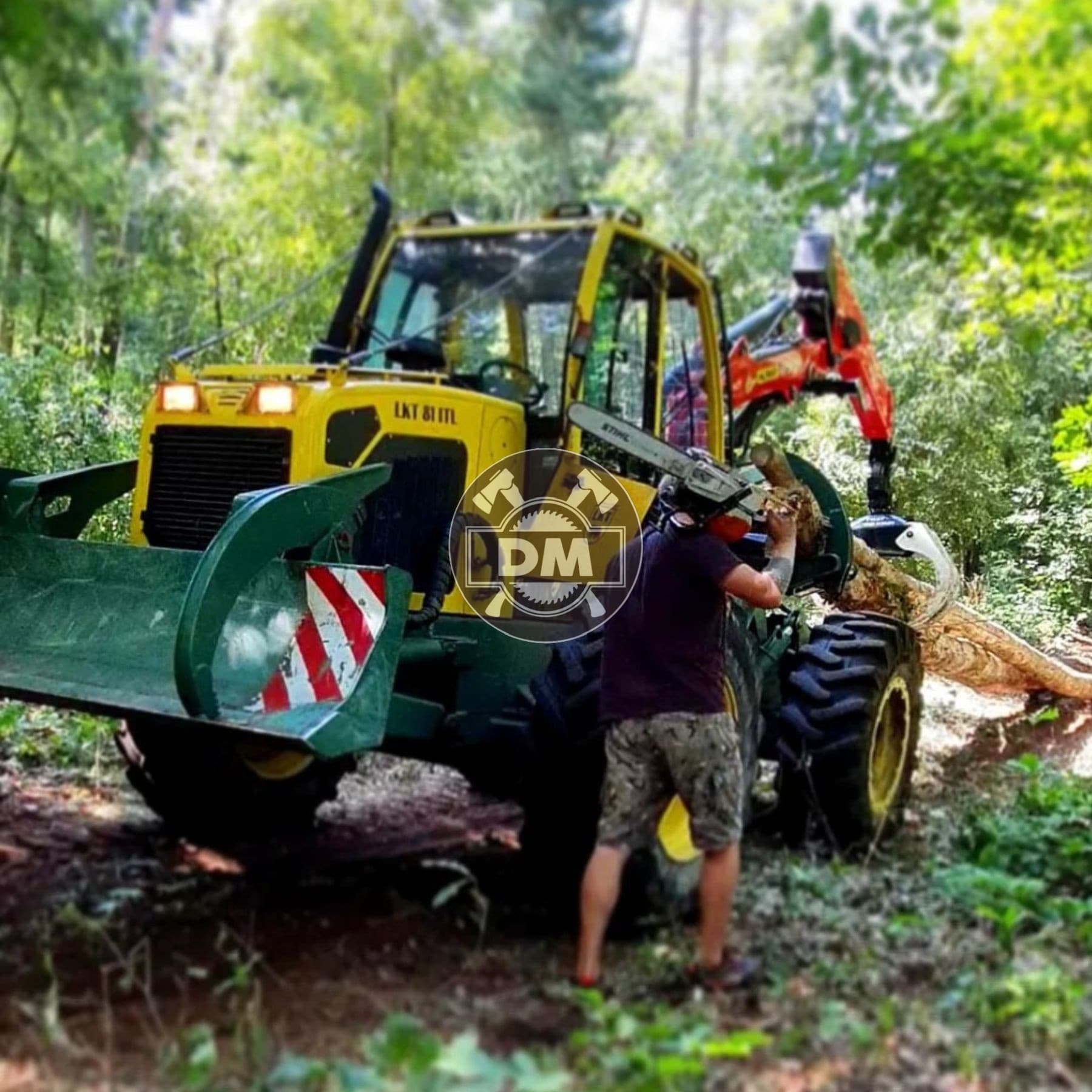 Fotografie z galerie