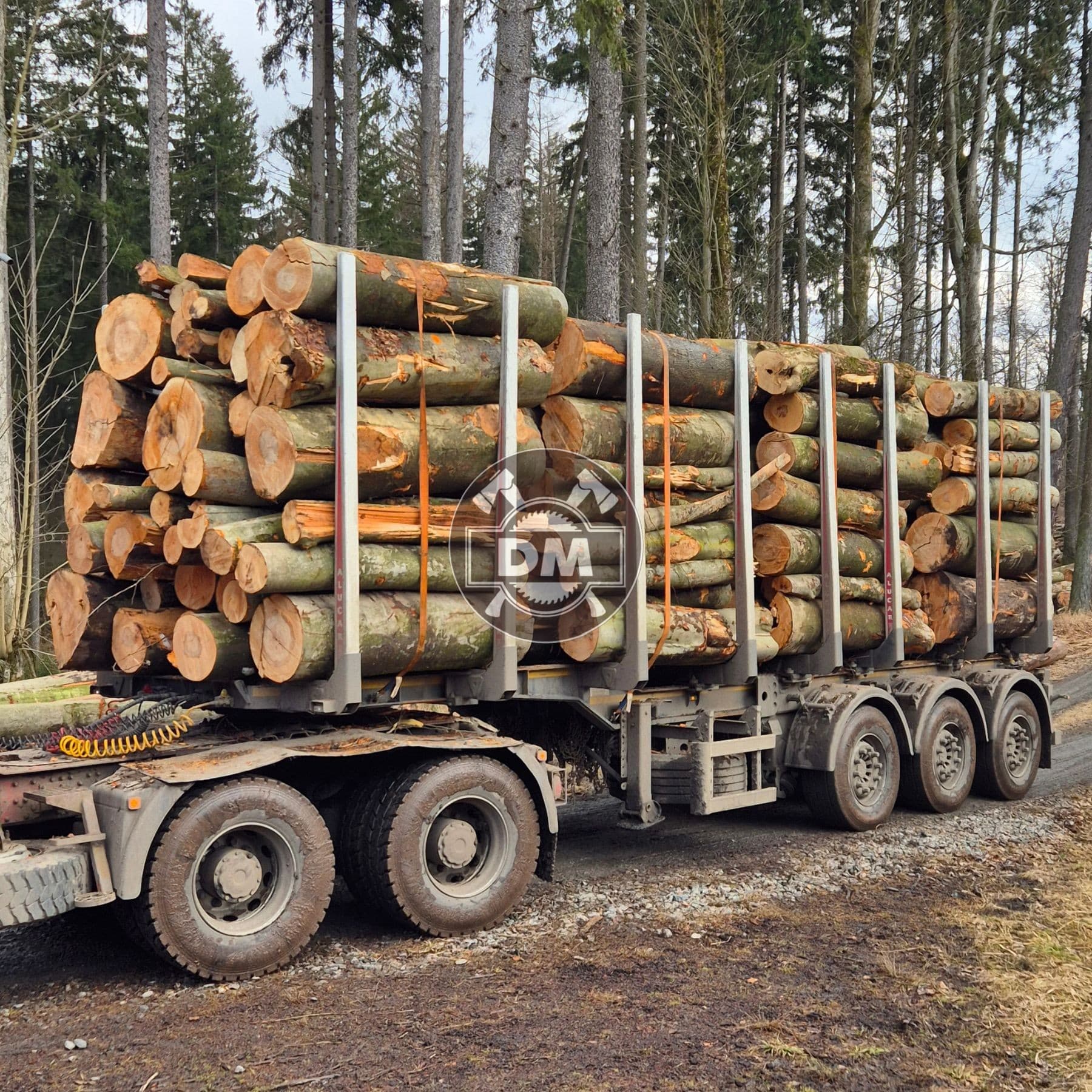 Fotografie z galerie